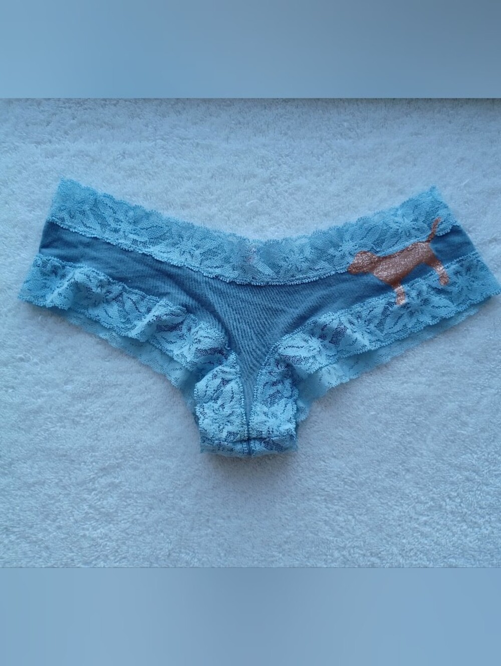 PINK Victoria's Secret Light Blue Cheeky Panty, Size XS - Picture 2 of 11